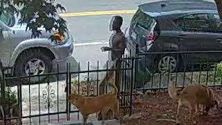 Person of Interest in Felony Assault 3200 bo 13th St NW on June 3 2022 [upl. by Eendys]