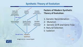 Synthetic Theory of Evolution  Biodiversity amp EvolutionII  BT201Topic155 [upl. by Naro991]