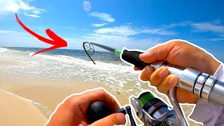 Alabama Surf Fishing  Everything You Need To Know [upl. by Ddal]