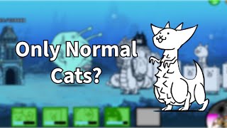 Can you beat Into the Future using ONLY Normal Cats [upl. by Tandy]