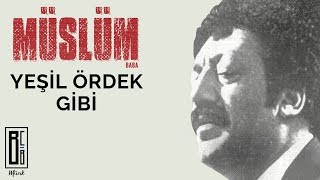 Müslüm Gürses  Yeşil Ördek Gibi quotMüslüm Babaquot Orijinal Film Müzikleri  Babanın Sesinden [upl. by Sheepshanks]