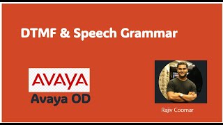 Chapter 6 Grammar  Avaya OD Training  Read The Manual [upl. by Epperson34]