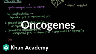 Oncogenes  Biomolecules  MCAT  Khan Academy [upl. by Acsehcnarf6]