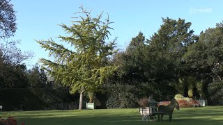 Luçon Opération Parcs en automne  le Jardin Dumaine participe à la 1re édition [upl. by Hike]