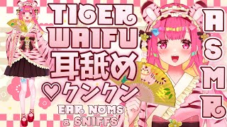 ASMR3Dio 可愛い虎ちゃんが耳舐めクンクンしてあげる♡ Tiger Waifus Ear Noms and Soft Sniffs Binaural Relaxation JP [upl. by Darwen]