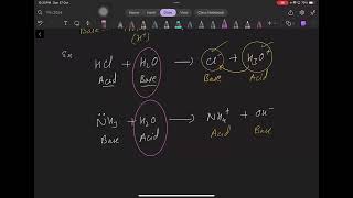 Equilibrium class 11 part 7 [upl. by Otha]