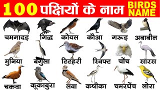 100 Birds name in english and hindi  100 pakshiyon ke naam hindi mein  Hundred Birds Name [upl. by Arodal]