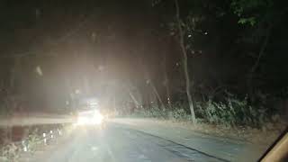 Pilibhit tiger reserve night real life review second part [upl. by Orvan172]