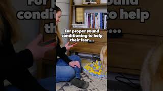 Watch THIS if dog has noise phobia [upl. by Notgnimer]