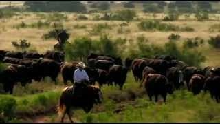 I Am Angus  Joe Leathers 6666 Ranch  RFDTV [upl. by Saraann]