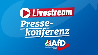 Pressekonferenz AfDInitiativen im Plenum [upl. by Hadwin]