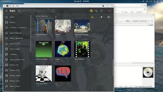 MusicBrainz Picard examples for beginners to fix metadata issues for Plex [upl. by Nonnac]