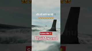 Megalodon Shark 🦈😱😱 movieexplainedinhindi shorts shortsfeed [upl. by Ailedroc]