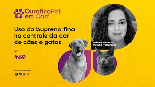 OurofinoPet em Cast  Episódio 69  Uso da buprenorfina no controle da dor de cães e gatos [upl. by Akemehc]