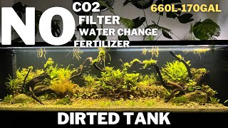 Aquascape Tutorial How To Make A Natural Planted Dirted Tank  Low Tech Tank  Ecosystem Aquarium [upl. by Jochbed]