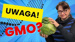 Cała Prawda o Tworzeniu GMO [upl. by Boatwright]