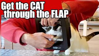 How To Install SureFlap AND Get Your Cat Trough It Easy [upl. by Adnopoz504]