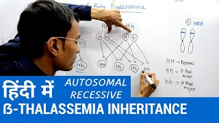 Inheritance of Beta thalassemia in Hindi  Autosomal recessive trait [upl. by Iror]