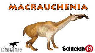 Macrauchenia Schleich [upl. by Swee]