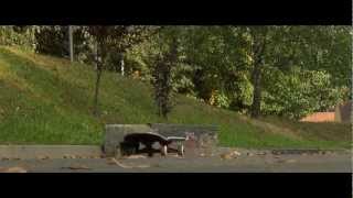 Gorlice skateboard documentary 2013 trailer [upl. by Htnamas485]