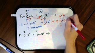 Formation of Hemiacetals and Acetals [upl. by Zzabahs]