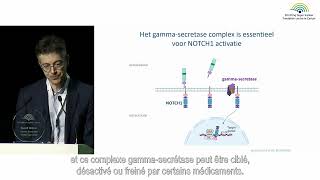 Fondation contre le Cancer  Beating Cancer Together 2021  Prof Jan Cools [upl. by Richma]