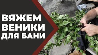 Собираем и вяжем веники для бани своими руками Живая Баня Иван Бояринцев [upl. by Carney]