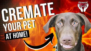 This Is How To Cremate Your Pet At Home [upl. by Adnohsel]