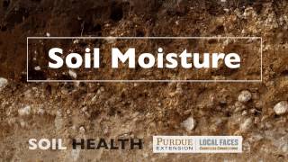 Soil Basics Soil Moisture [upl. by Netsriik]