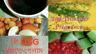 10 🥰 ।।2nd Trimester Pregnancy।। সময়ের মধ্যেই এই USG করাটা খুব গুরুত্বপূর্ণ।।Bengali Vlog Videos [upl. by Haney]