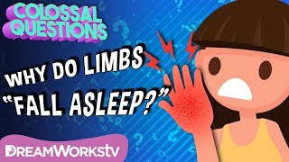 Why Do Body Parts “Fall Asleep”  COLOSSAL QUESTIONS [upl. by Eiddet90]