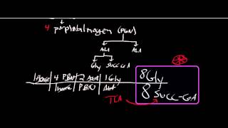 Biochemistry  δAminolevulinate Synthase ALA Synthase Physiology Biochemistry amp Mechanism [upl. by Rimma]