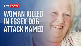 Woman 68 dies after being mauled by two dogs in Jaywick Essex [upl. by Danielle]