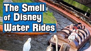 Why Disney Water Rides Smell Different [upl. by Cleveland]