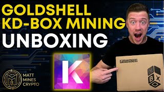 Goldshell KDBox Miner KDA Unboxing amp Profitability [upl. by Marleah]