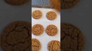 cookies gingersnap cookies tastes like memories [upl. by Yarod819]