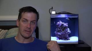 HOW TO Care amp Maintain a Fluval Sea EVO Aquarium ft Mr Saltwater Tank [upl. by Zurn815]