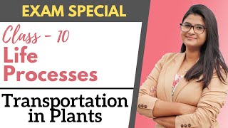 Life Processes  Transportation in Plants  Class 10 [upl. by Anoj186]