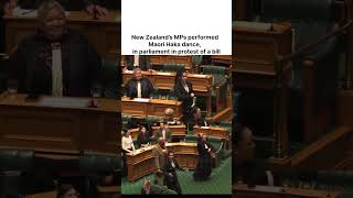 New Zealands MPs performed Maori Haka dance in parliament in protest of a Bill [upl. by Ehling111]