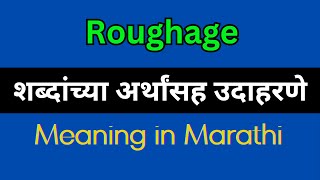 Roughage Meaning In Marathi  Roughage explained in Marathi [upl. by Acsirp853]