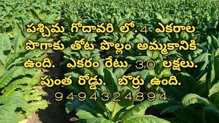 4 acres agriculture propertys for sale in andhra pradesh west godavari district  budget propertys [upl. by Koran]