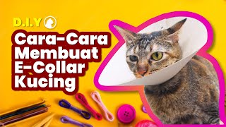 DIY CARACARA MEMBUAT COLLAR KUCING [upl. by Louls]