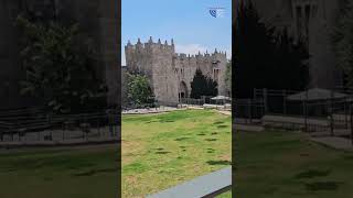 Walk with us to the Damascus Gate in Jerusalem தமஸ்கு வாசல் எருசலேம் damascusgate jerusalemgate [upl. by Matlick]