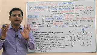 Cholinergic Drugs Part 02  Muscarinic amp Nicotinic Receptors  Cholinergic Receptors  Cholinergic [upl. by Aciruam]