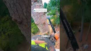 Removing Tree In A Tight Spot😱 arborist logging chainsawman [upl. by Kcirddet]