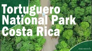 Tortuguero National Park Boat Tour in Costa Rica [upl. by Lorilee]