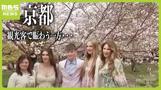 満開「桜が一番の目的」京都に多くの外国人観光客…一方で心穏やかではない地元の人も？「並ばないとご飯が食べられないとか…」（2024年4月4日） [upl. by Shoifet947]