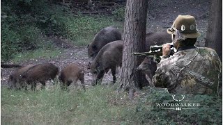 quotOld schoolquot Wildschweinjagd  das MUSS man berücksichtigen  Jagdfilm 2022  ep  33 [upl. by Novel325]