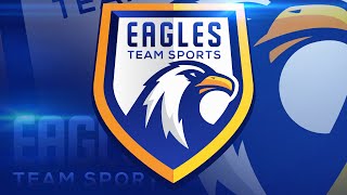 Adobe Illustrator Tutorial  Design ESports  Sports Logo for Your Team  Eagles Logo [upl. by Muire]