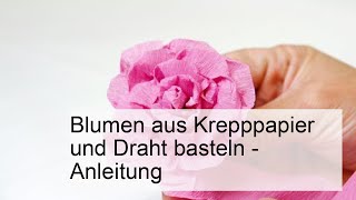 Blumen aus Krepppapier und Draht basteln  Anleitung [upl. by Haveman619]